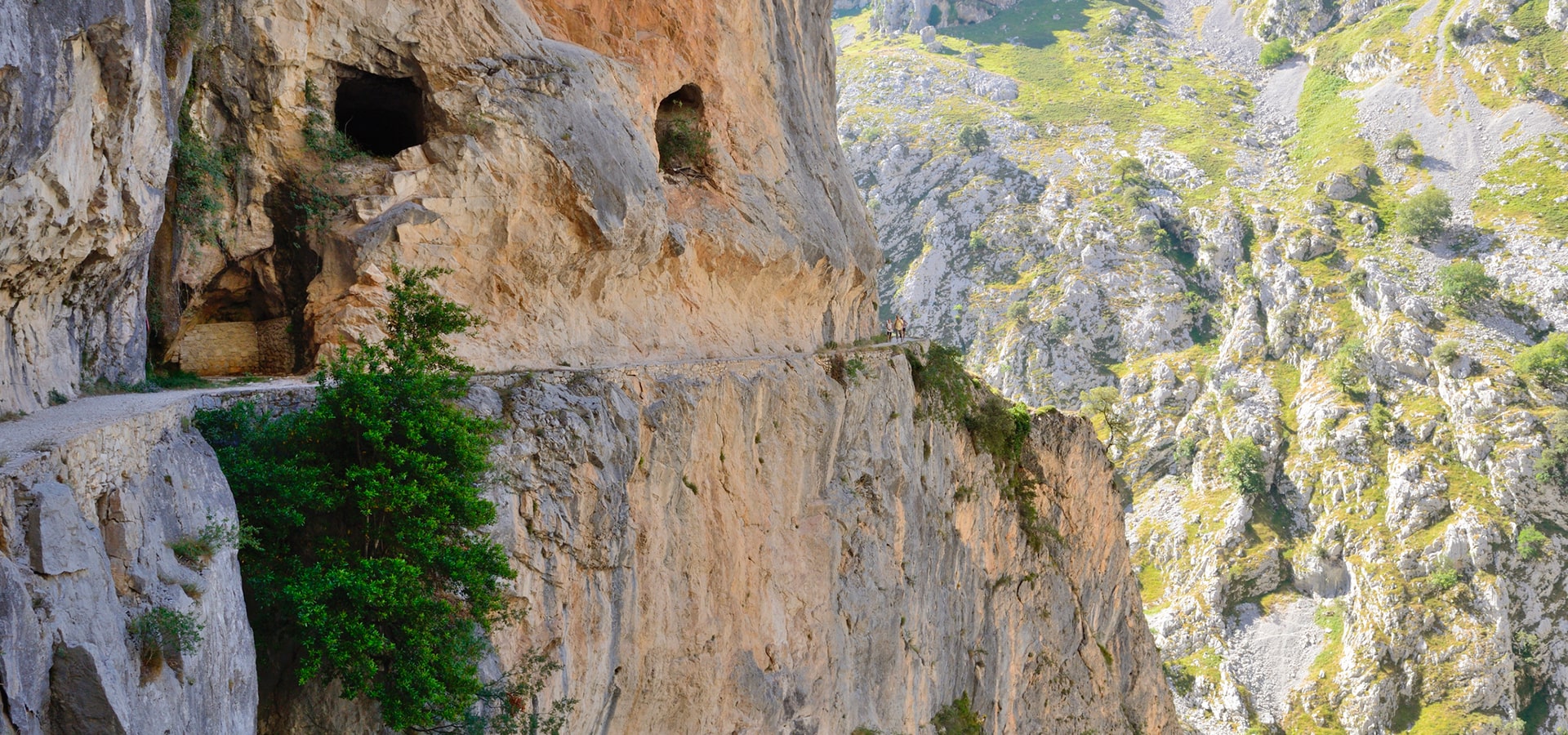 montagne rocciose
